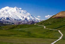 Denali National Park